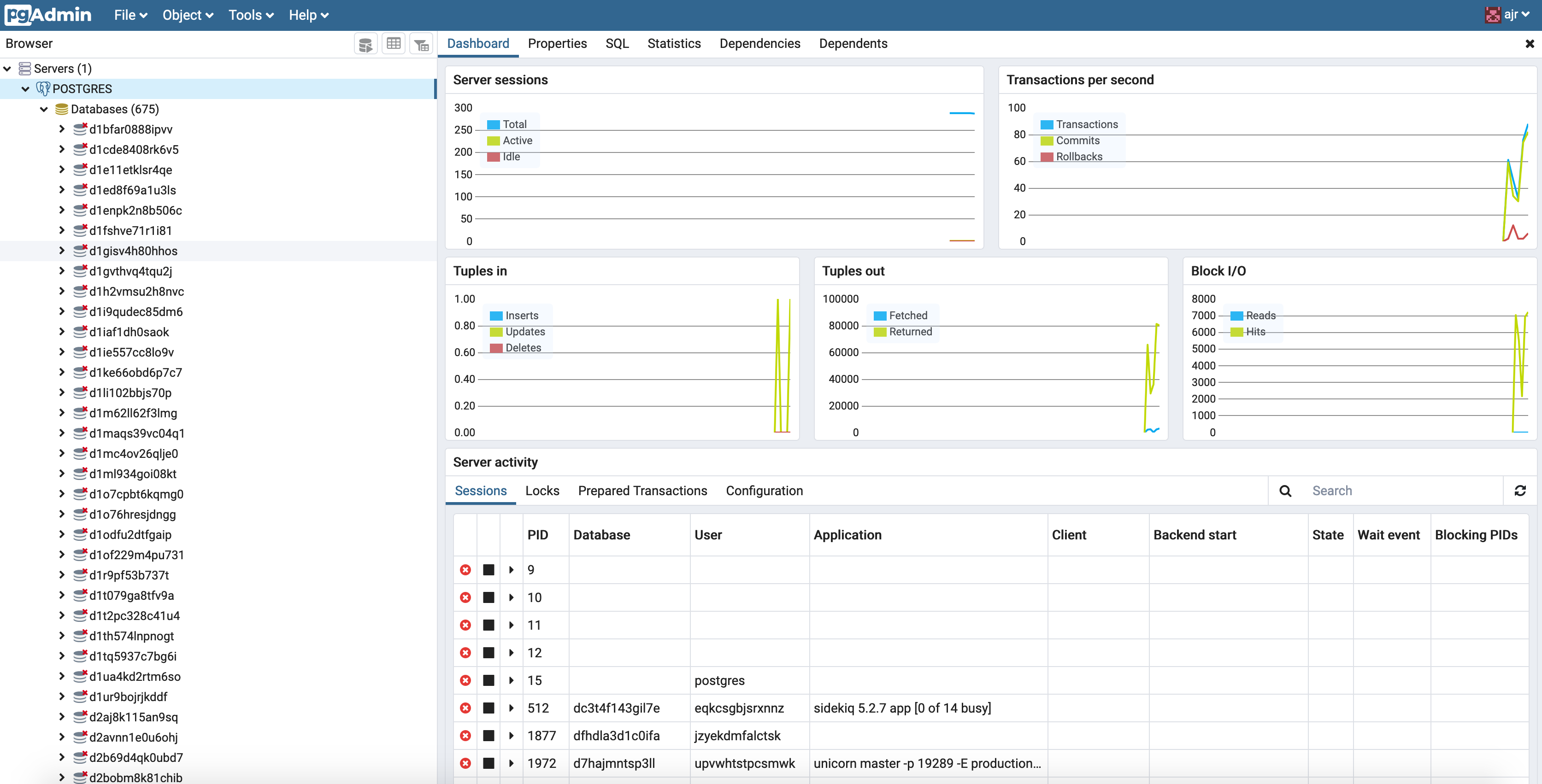pgadmin4 server details